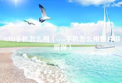ViVO手机怎么用（vivo手机怎么用照片做屏保）