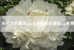 手机挂机赚钱app（手机挂机赚钱app免费）