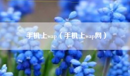 手机上wap（手机上wap网）