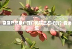 百度产品推广开户流程是怎样的？看这里