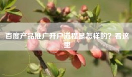 百度产品推广开户流程是怎样的？看这里