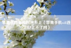 苹果手机无线网连不上（苹果手机wifi连上但上不了网）
