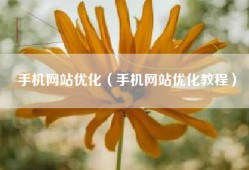 手机网站优化（手机网站优化教程）