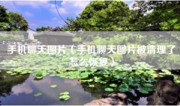 手机聊天图片（手机聊天图片被清理了怎么恢复）