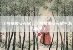 手机摄像头有雾（手机摄像头有雾气怎么解决）