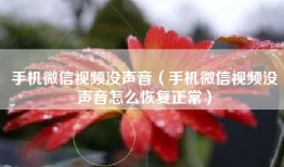手机微信视频没声音（手机微信视频没声音怎么恢复正常）