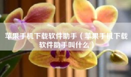 苹果手机下载软件助手（苹果手机下载软件助手叫什么）