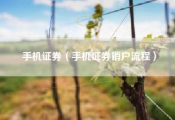 手机证券（手机证券销户流程）