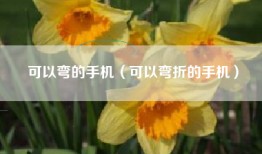可以弯的手机（可以弯折的手机）