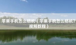 苹果手机怎么格机（苹果手机怎么格机？视频教程）