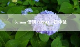 Garmin 佳明 CONNECT 初体验