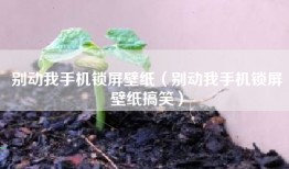 别动我手机锁屏壁纸（别动我手机锁屏壁纸搞笑）