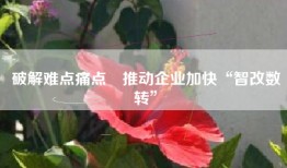 破解难点痛点　推动企业加快“智改数转”