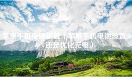 苹果手机电池设置（苹果手机电池设置80%还是优化充电）