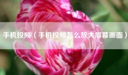 手机投频（手机投频怎么放大屏幕画面）
