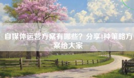 自媒体运营方案有哪些？分享8种策略方案给大家