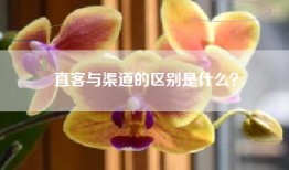 直客与渠道的区别是什么？