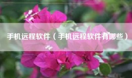 手机远程软件（手机远程软件有哪些）