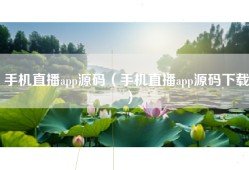 手机直播app源码（手机直播app源码下载）