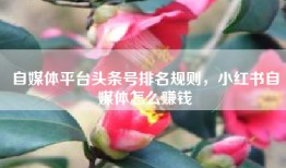 自媒体平台头条号排名规则，小红书自媒体怎么赚钱