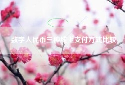 数字人民币三种线上支付方式比较