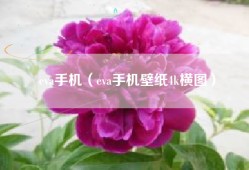 eva手机（eva手机壁纸4k横图）