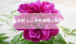 eva手机（eva手机壁纸4k横图）
