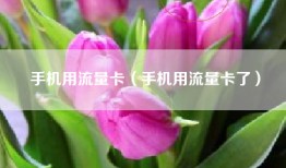 手机用流量卡（手机用流量卡了）
