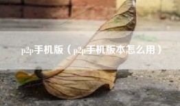 p2p手机版（p2p手机版本怎么用）
