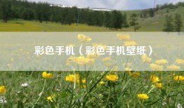 彩色手机（彩色手机壁纸）