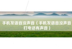 手机发语音没声音（手机发语音没声音打电话有声音）