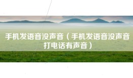 手机发语音没声音（手机发语音没声音打电话有声音）