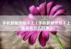 手机数据连接不上（手机数据连接不上服务器怎么回事）