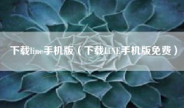 下载line手机版（下载LiNE手机版免费）