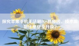 探究苹果手机无法刷POS机原因，技术限制还是安全升级？