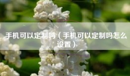 手机可以定制吗（手机可以定制吗怎么设置）