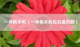 一体机手机（一体机手机粘后盖的胶）