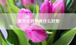 数字化转型有什么好处