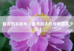 最贵的手机号（最贵的手机号码值多少钱）