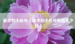 最贵的手机号（最贵的手机号码值多少钱）