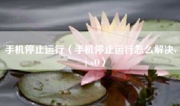 手机停止运行（手机停止运行怎么解决vⅰvO）