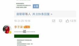 李子柒：以匠心致传统文化，以热爱彰文化自信