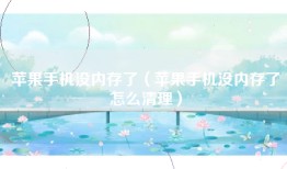 苹果手机没内存了（苹果手机没内存了怎么清理）