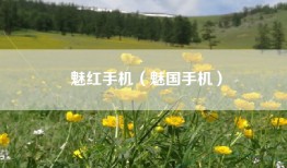 魅红手机（魅国手机）