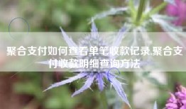 聚合支付如何查看单笔收款记录,聚合支付收款明细查询方法