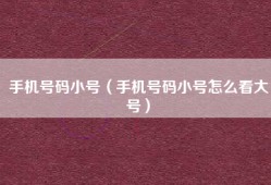 手机号码小号（手机号码小号怎么看大号）