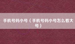手机号码小号（手机号码小号怎么看大号）