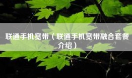 联通手机宽带（联通手机宽带融合套餐介绍）