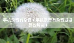 手机录音有杂音（手机录音有杂音滋滋怎么解决）