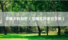 荣耀手机贴吧（荣耀官网查找手机）